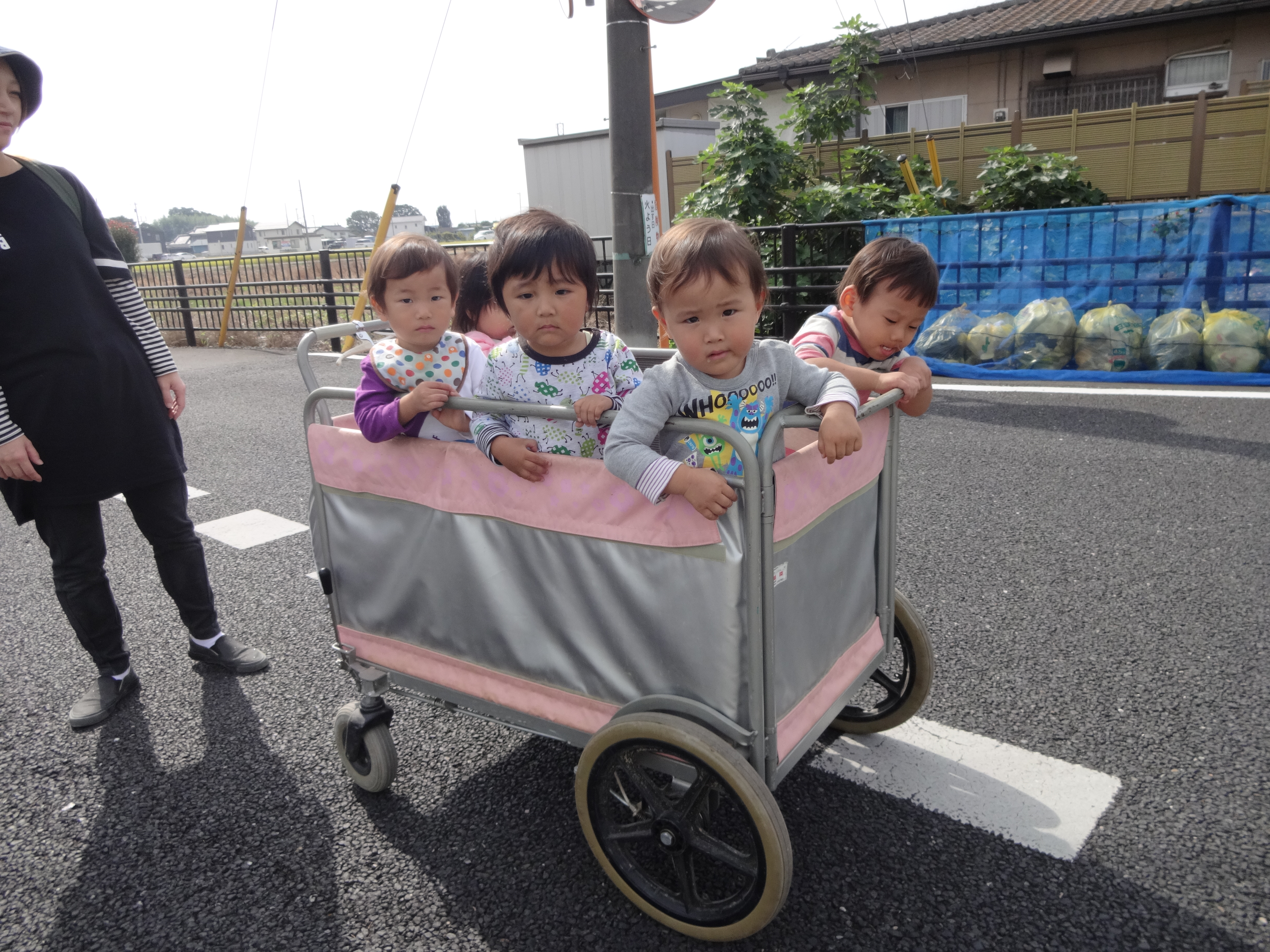 ひまわりぐみ
秋のおさんぽ