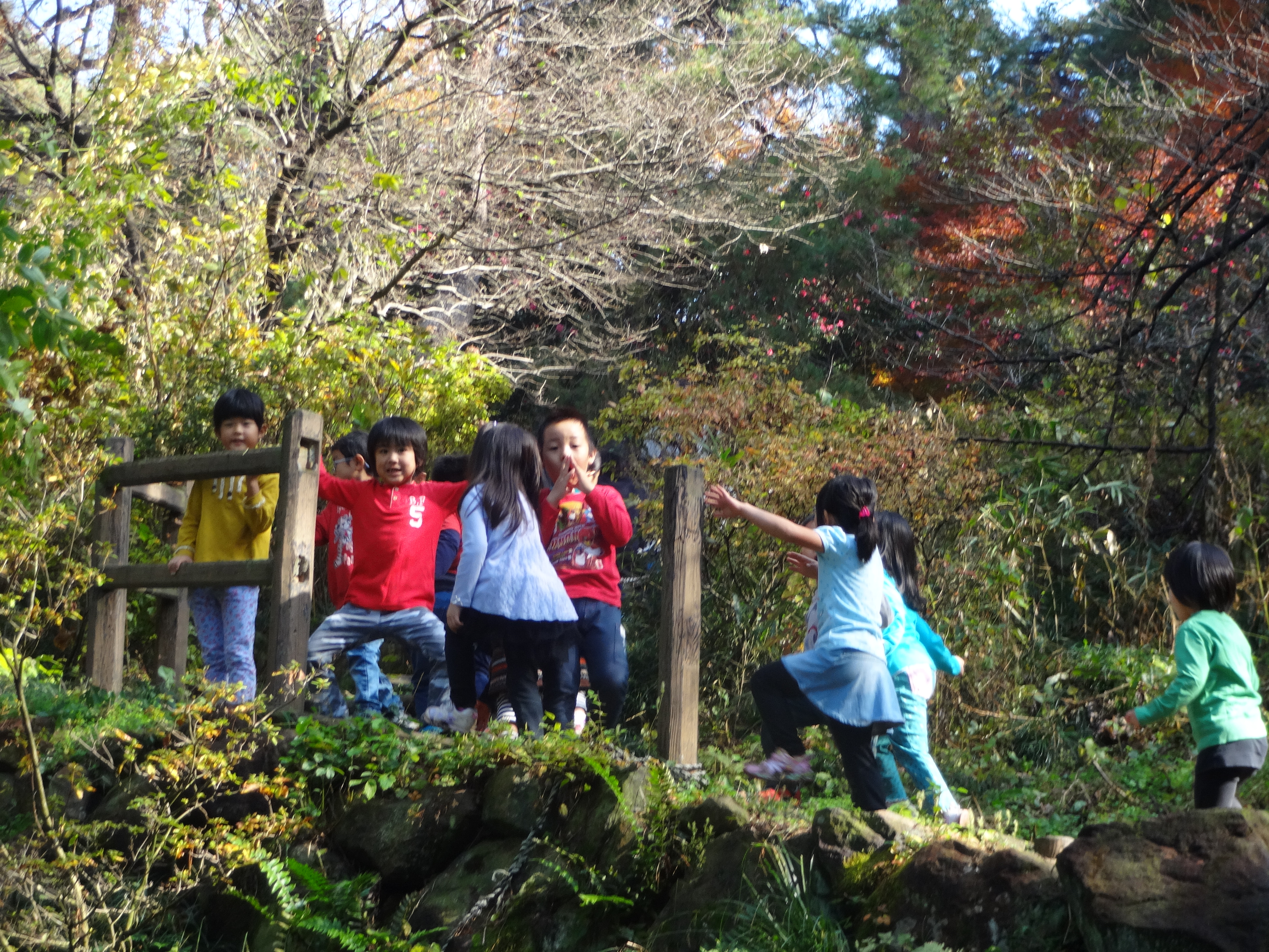 たいようぐみ＆つきぐみ
金山ハイキング