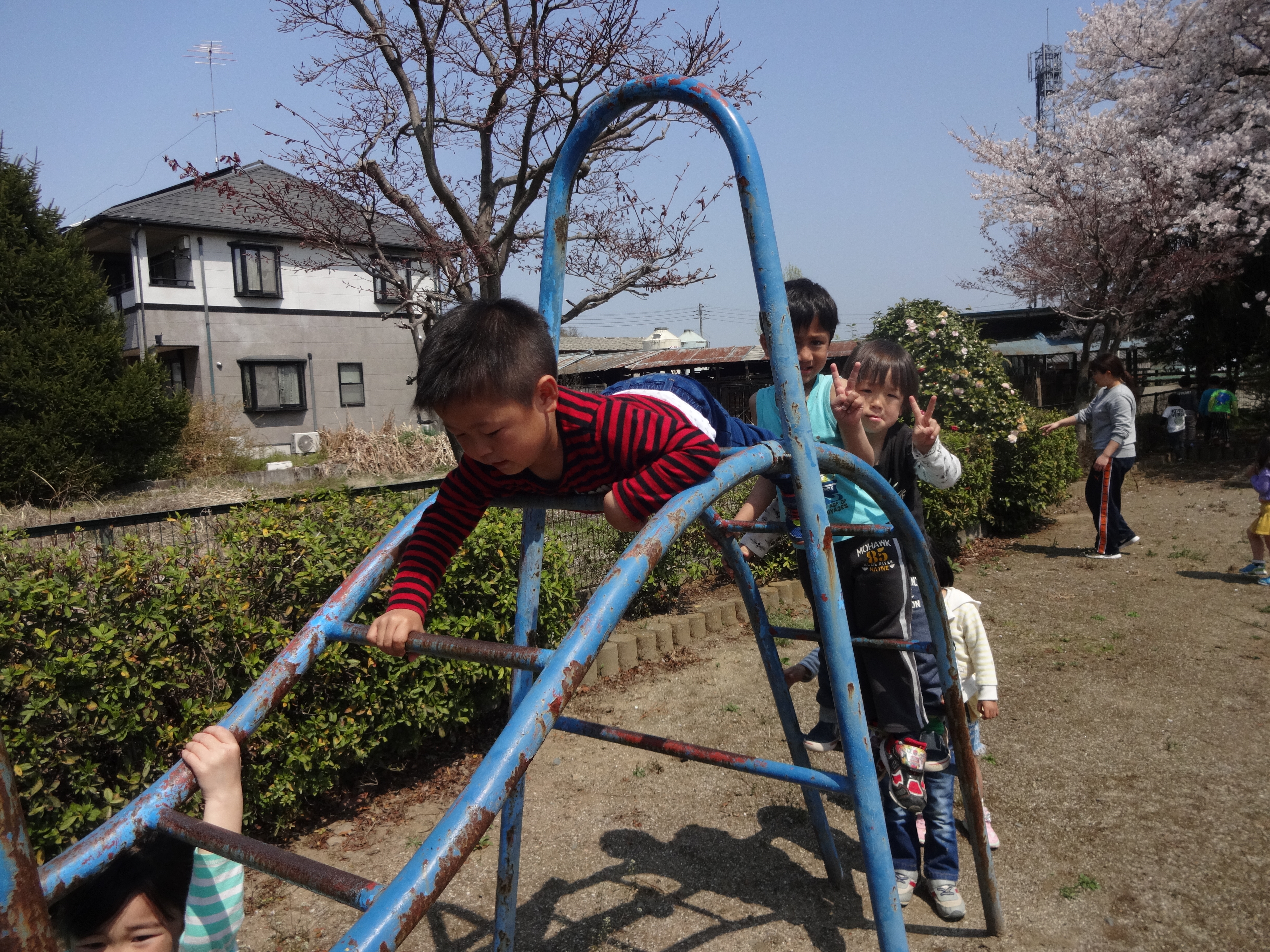 つき組
春のお散歩