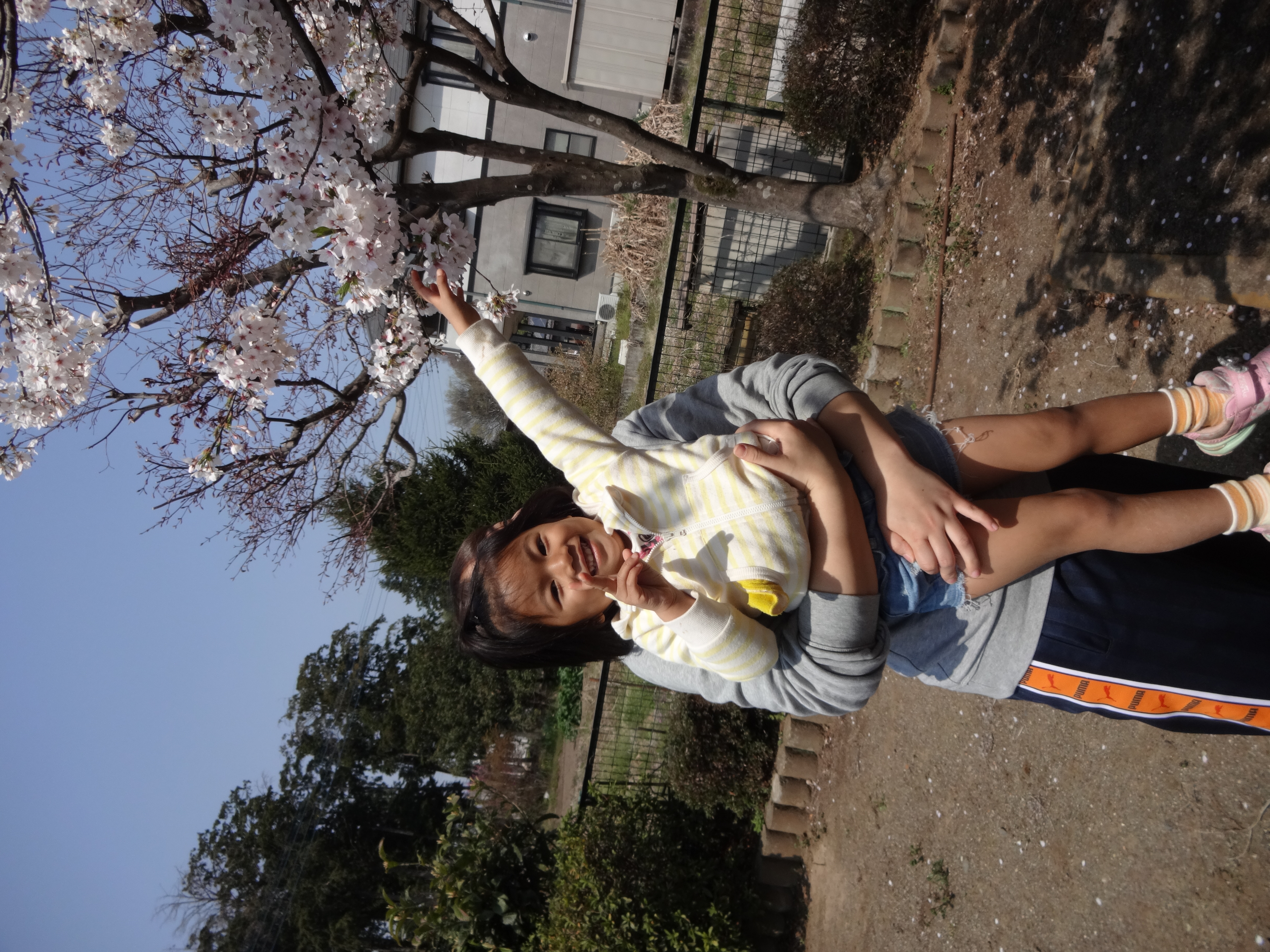 つき組
春のお散歩