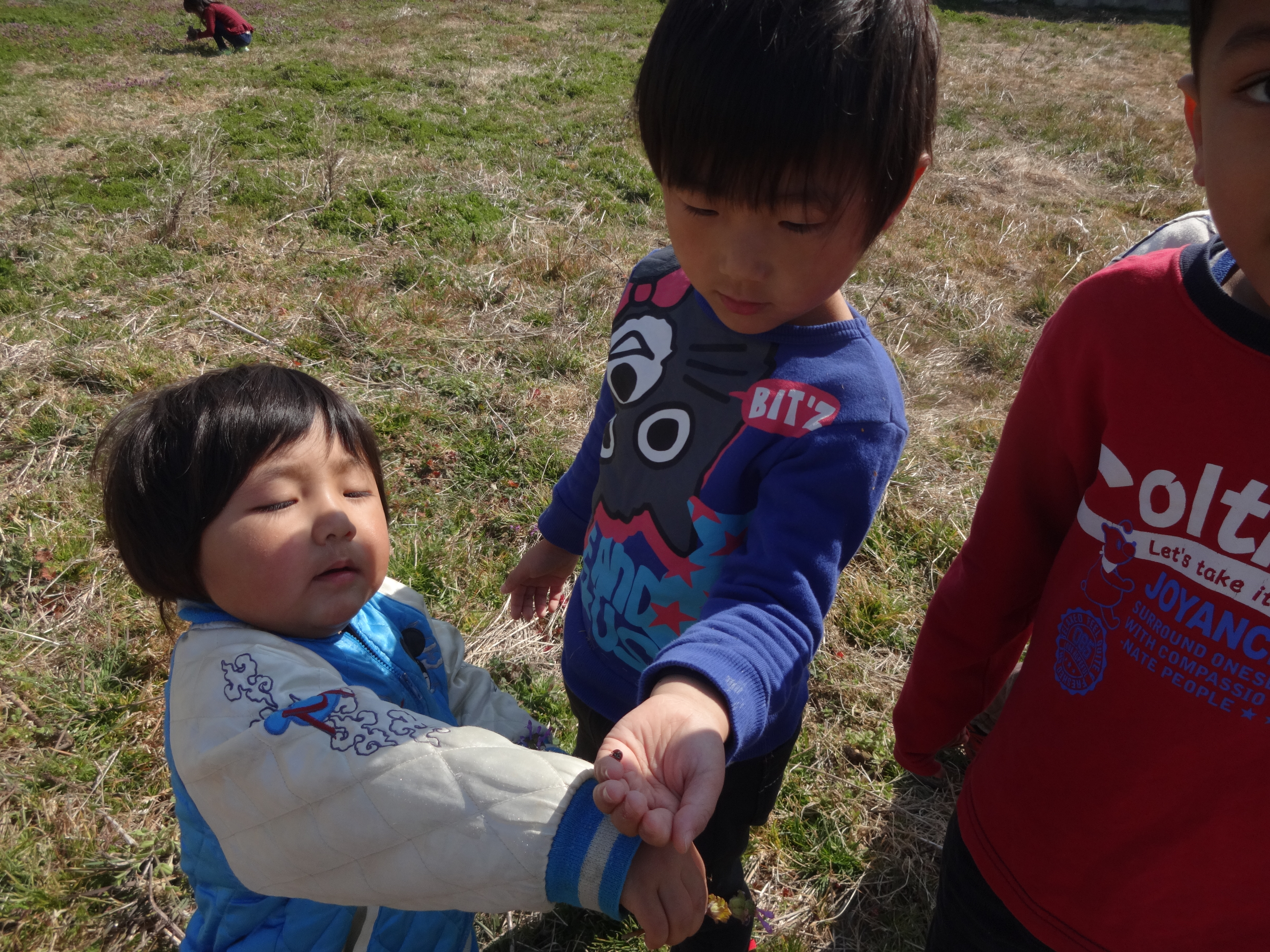 かぜぐみ　春さがしのおさんぽ