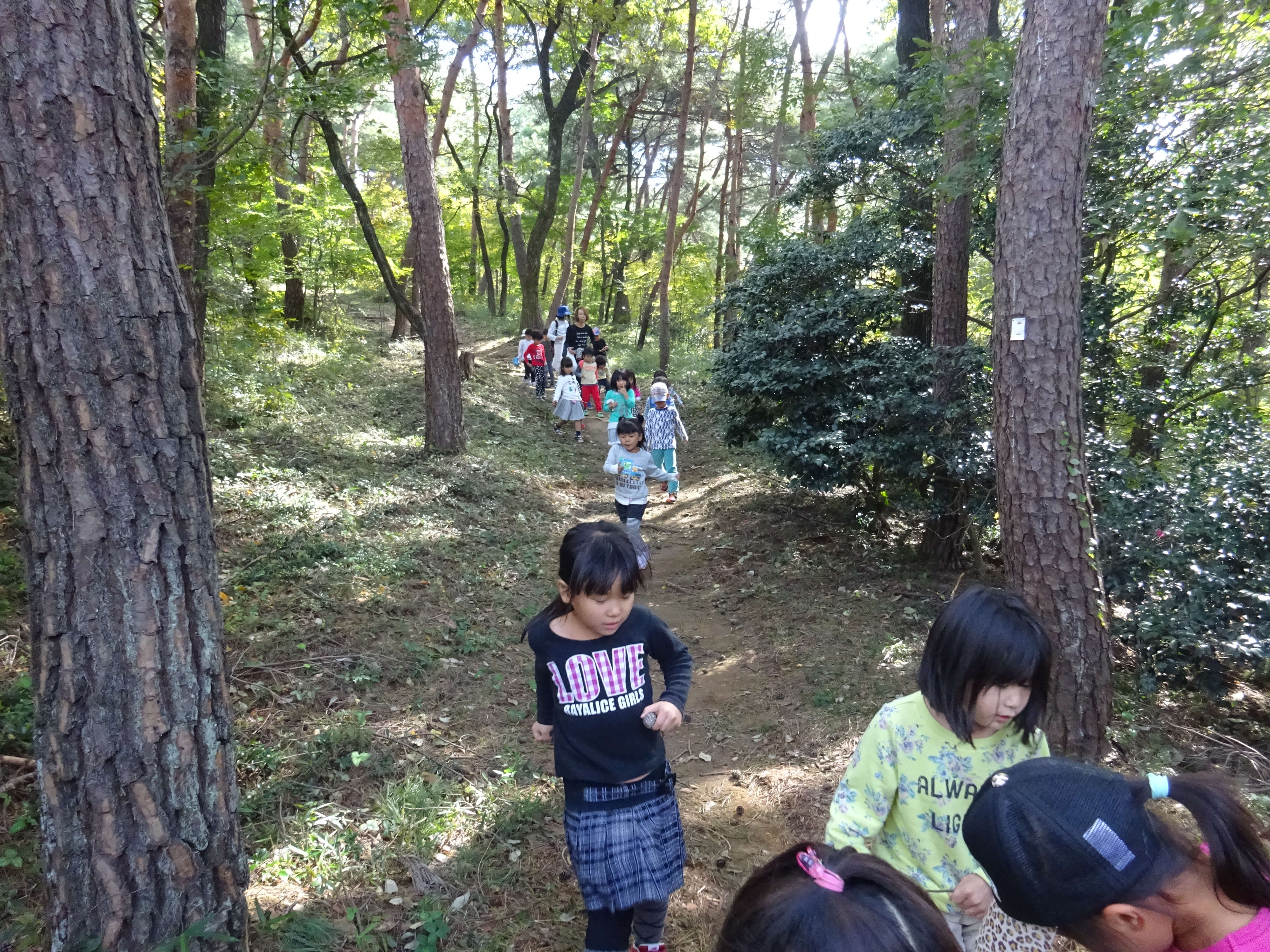 金山遠足☆たいよう組・つき組