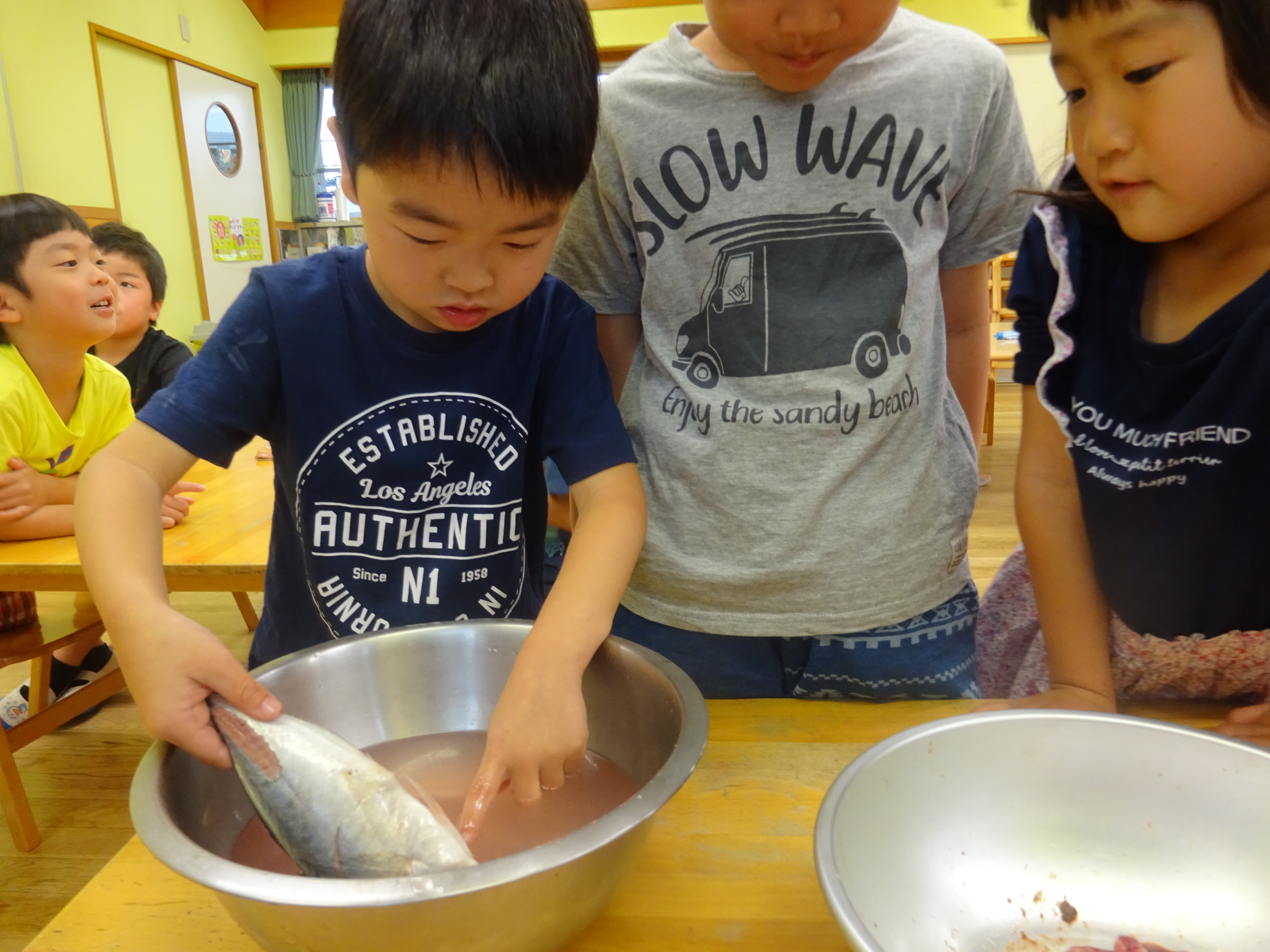 食育『アジの手開き』