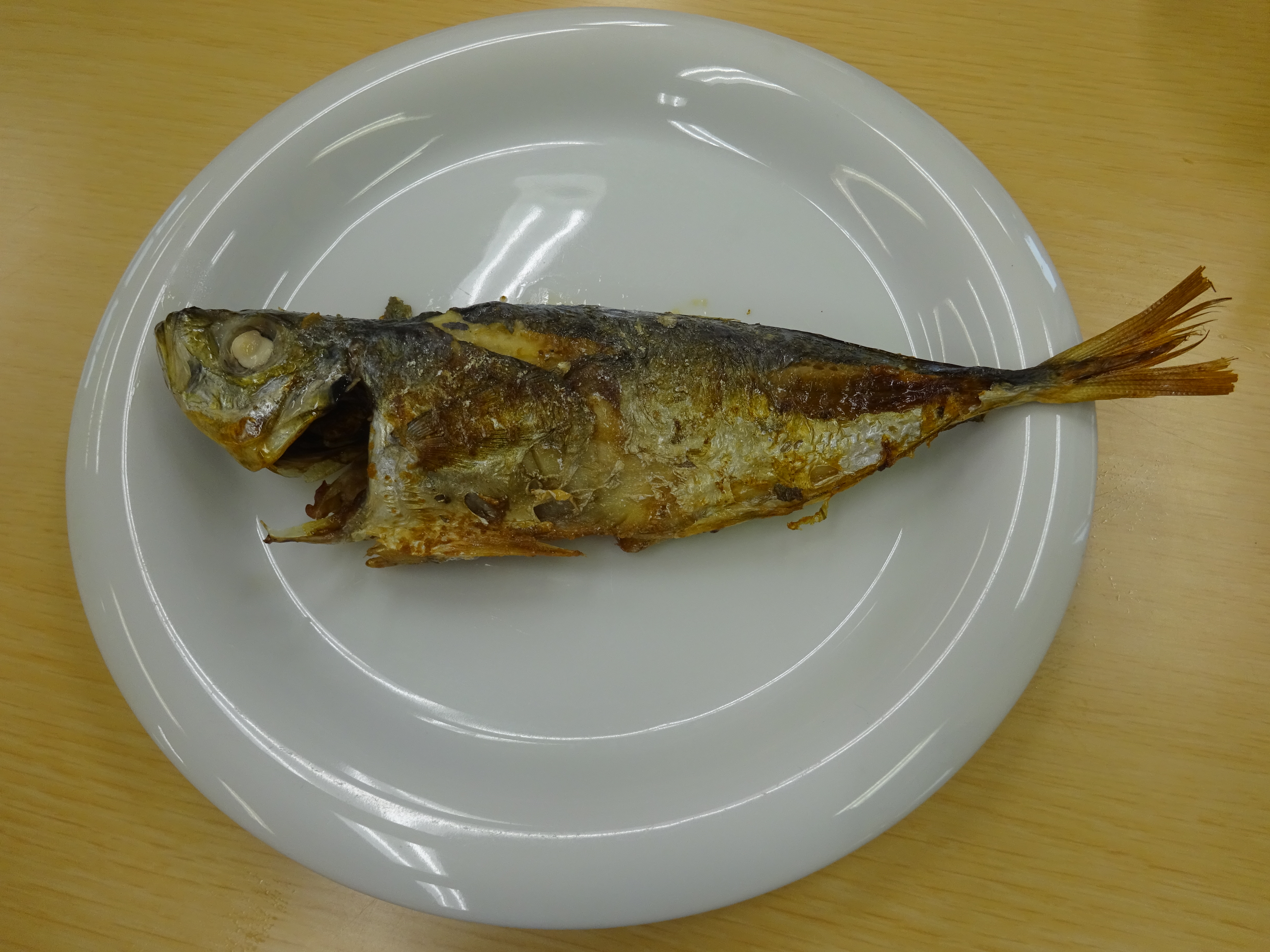 食育『アジの手開き』